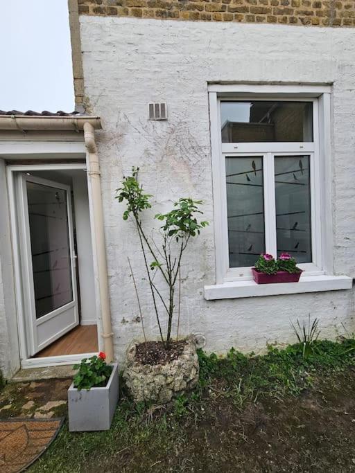 Studio Avec Jardin Rosendael Proche Plage Dunkirk Exterior photo